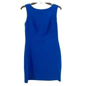 Loft cobalt blue sheath dress